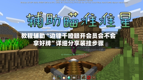 教程辅助“边锋干瞪眼开会员会不会拿好牌”详细分享装挂步骤-第3张图片