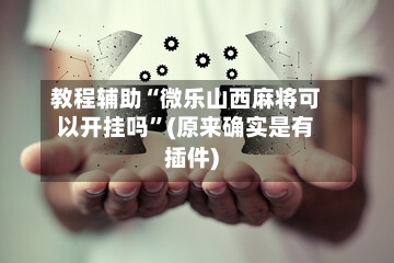 教程辅助“微乐山西麻将可以开挂吗”(原来确实是有插件)-第3张图片