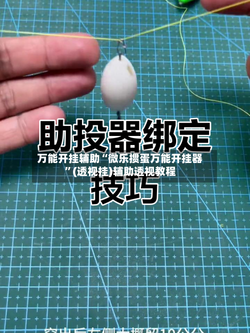 万能开挂辅助“微乐掼蛋万能开挂器”(透视挂)辅助透视教程-第2张图片