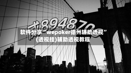 软件分享“wepoker德州辅助透视”(透视挂)辅助透视教程-第2张图片