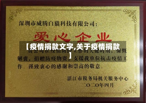 【疫情捐款文字,关于疫情捐款】-第1张图片