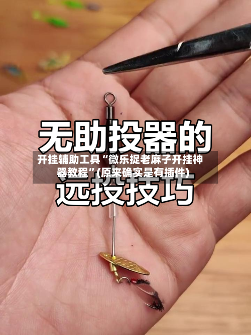 开挂辅助工具“微乐捉老麻子开挂神器教程”(原来确实是有插件)-第2张图片