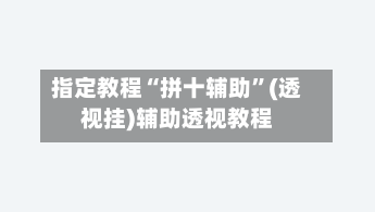 指定教程“拼十辅助”(透视挂)辅助透视教程-第2张图片
