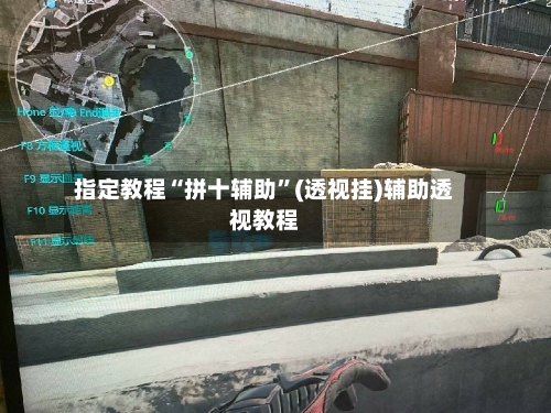 指定教程“拼十辅助”(透视挂)辅助透视教程-第3张图片