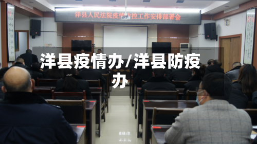 洋县疫情办/洋县防疫办-第2张图片