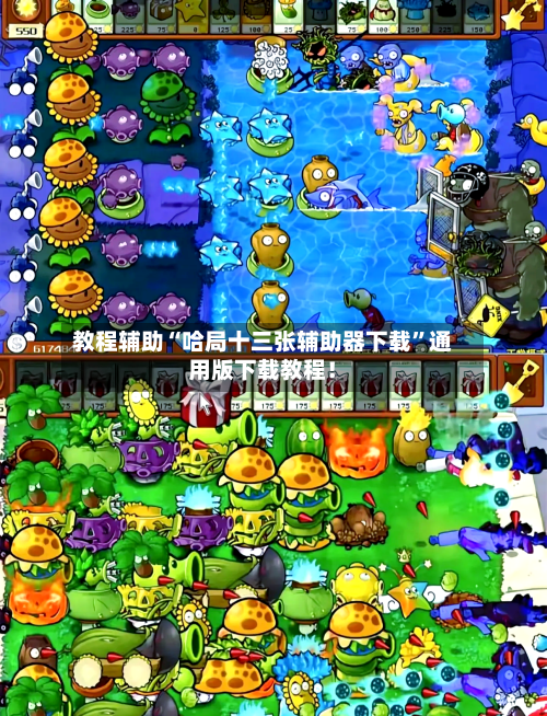 教程辅助“哈局十三张辅助器下载”通用版下载教程！-第1张图片