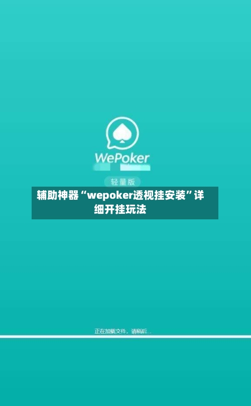 辅助神器“wepoker透视挂安装	”详细开挂玩法-第2张图片