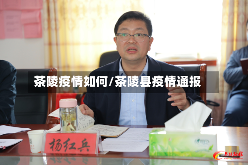 茶陵疫情如何/茶陵县疫情通报-第2张图片