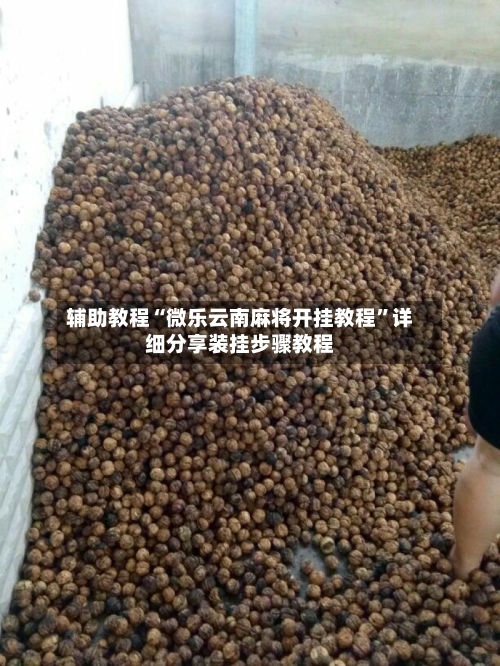 辅助教程“微乐云南麻将开挂教程”详细分享装挂步骤教程-第2张图片