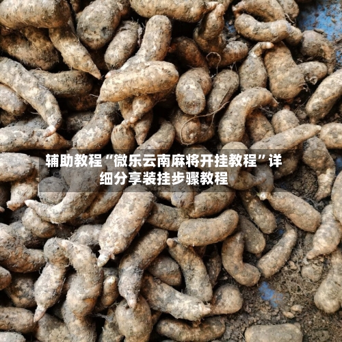 辅助教程“微乐云南麻将开挂教程”详细分享装挂步骤教程-第3张图片