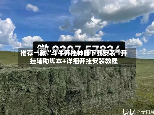 推荐一款“斗牛开挂神器下载安装”开挂辅助脚本+详细开挂安装教程-第2张图片
