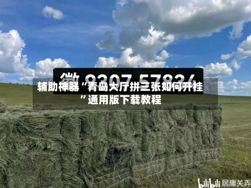 辅助神器“青岛大厅拼三张如何开挂”通用版下载教程-第2张图片