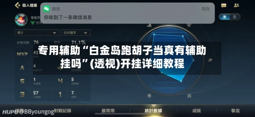 专用辅助“白金岛跑胡子当真有辅助挂吗”(透视)开挂详细教程-第2张图片