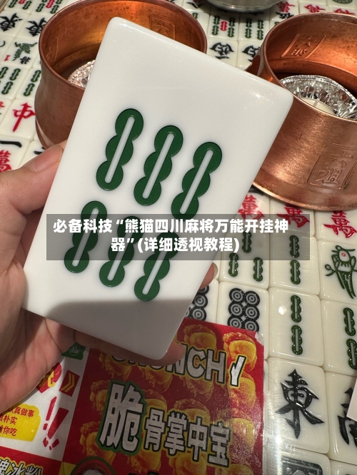 必备科技“熊猫四川麻将万能开挂神器”(详细透视教程)-第2张图片