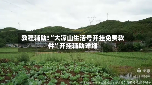 教程辅助!“大凉山生活号开挂免费软件”开挂辅助详细-第2张图片