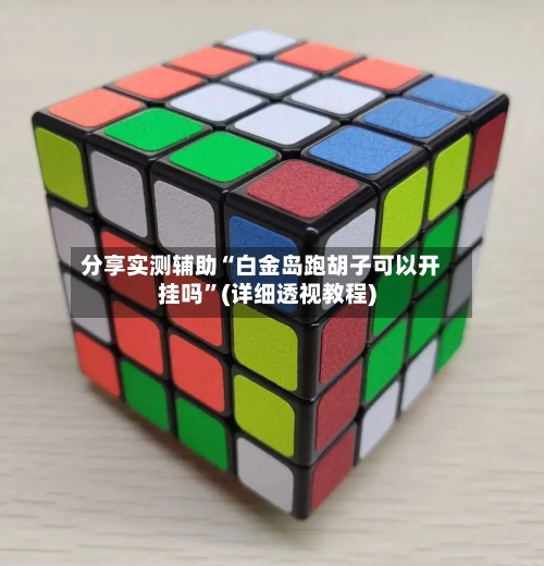 分享实测辅助“白金岛跑胡子可以开挂吗	”(详细透视教程)-第2张图片