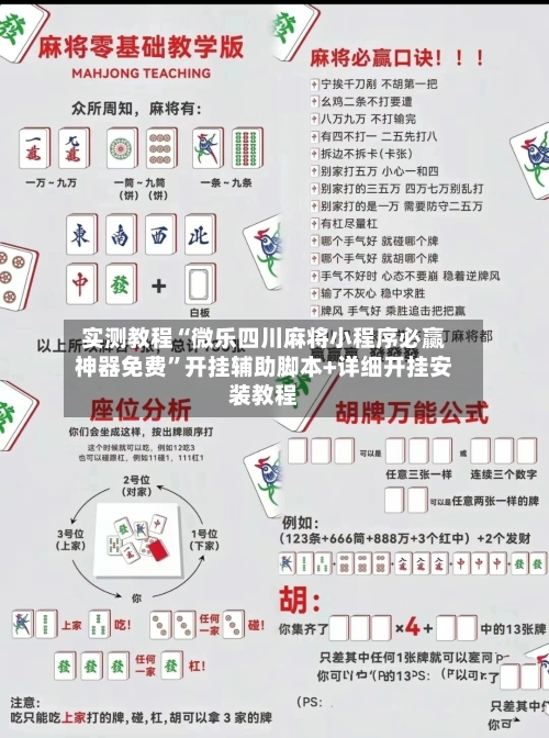 实测教程“微乐四川麻将小程序必赢神器免费	”开挂辅助脚本+详细开挂安装教程-第2张图片