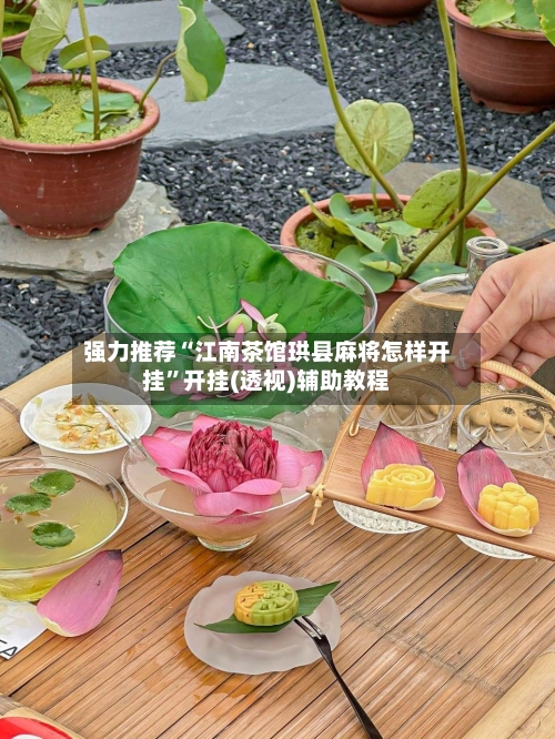 强力推荐“江南茶馆珙县麻将怎样开挂”开挂(透视)辅助教程-第1张图片