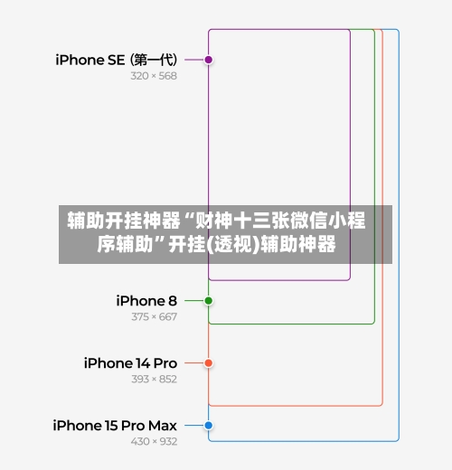 辅助开挂神器“财神十三张微信小程序辅助”开挂(透视)辅助神器-第1张图片