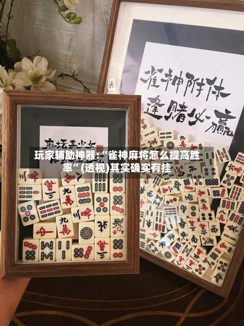 玩家辅助神器:“雀神麻将怎么提高胜率”(透视)其实确实有挂-第3张图片
