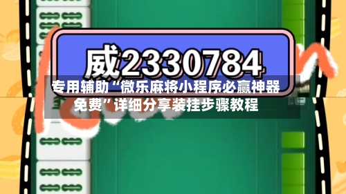 专用辅助“微乐麻将小程序必赢神器免费	”详细分享装挂步骤教程-第2张图片