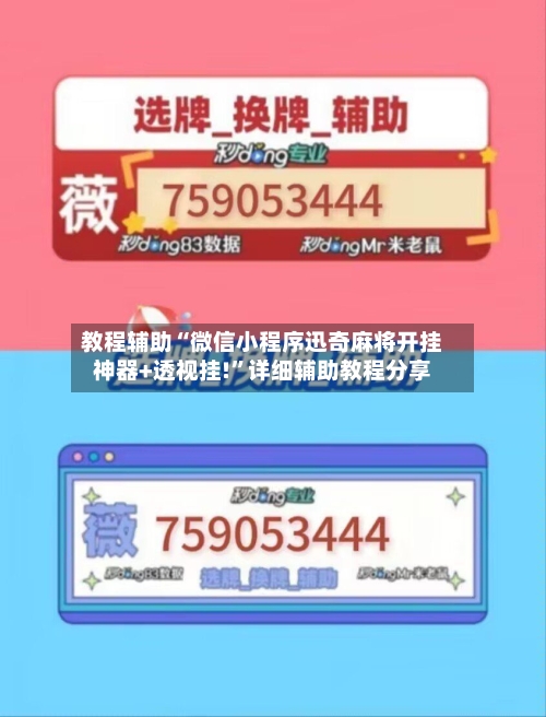 教程辅助“微信小程序迅奇麻将开挂神器+透视挂!”详细辅助教程分享-第2张图片