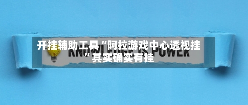 开挂辅助工具“阿拉游戏中心透视挂”其实确实有挂-第2张图片