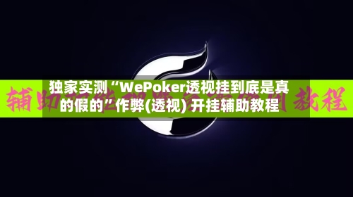 独家实测“WePoker透视挂到底是真的假的”作弊(透视) 开挂辅助教程-第3张图片