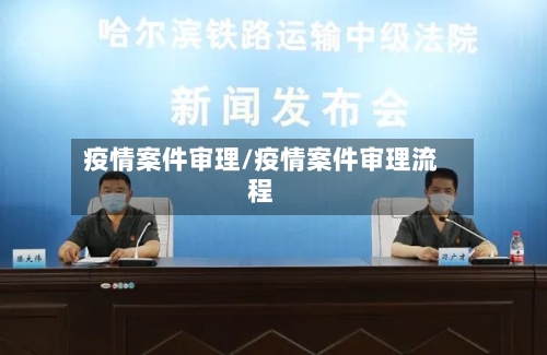疫情案件审理/疫情案件审理流程-第1张图片