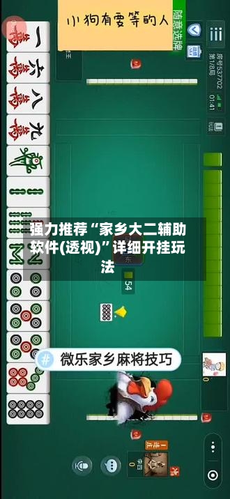 强力推荐“家乡大二辅助软件(透视)”详细开挂玩法-第1张图片