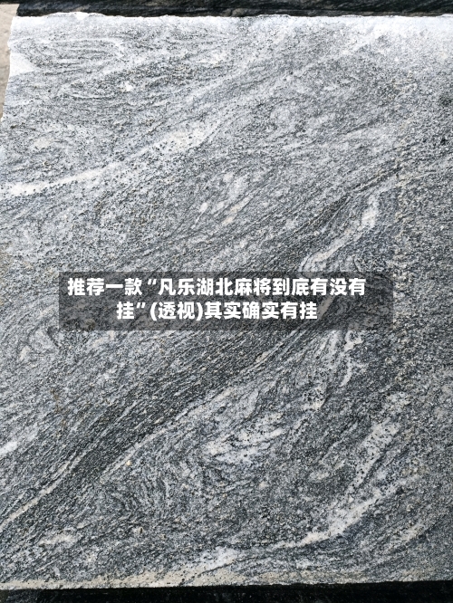 推荐一款“凡乐湖北麻将到底有没有挂”(透视)其实确实有挂-第2张图片