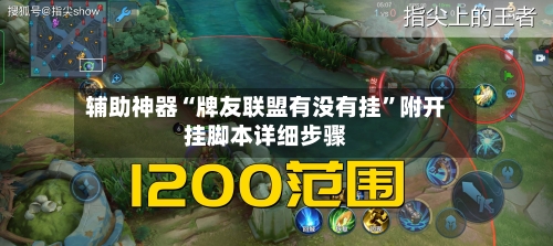 辅助神器“牌友联盟有没有挂”附开挂脚本详细步骤-第3张图片