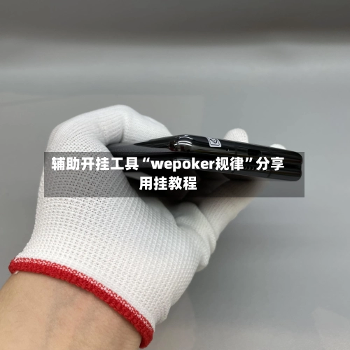 辅助开挂工具“wepoker规律”分享用挂教程-第2张图片
