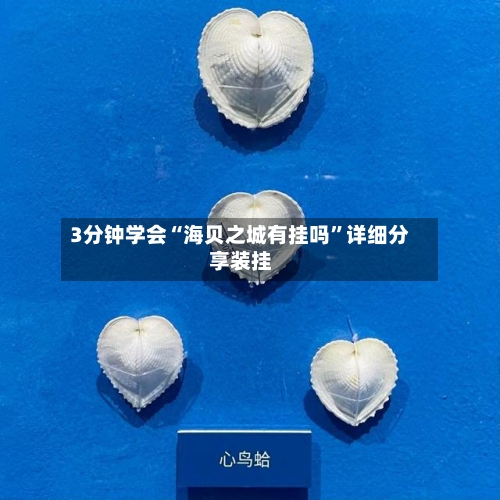 3分钟学会“海贝之城有挂吗”详细分享装挂-第3张图片