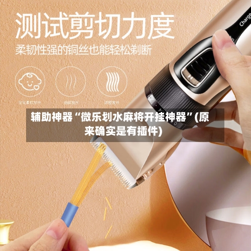 辅助神器“微乐划水麻将开挂神器”(原来确实是有插件)-第3张图片