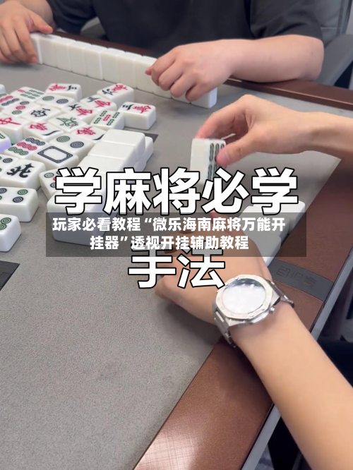 玩家必看教程“微乐海南麻将万能开挂器	”透视开挂辅助教程-第3张图片