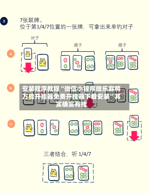 安装程序教程“微信小程序微乐麻将万能开挂器免费开挂器下载安装”其实确实有挂-第1张图片