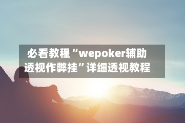 必看教程“wepoker辅助透视作弊挂”详细透视教程-第3张图片