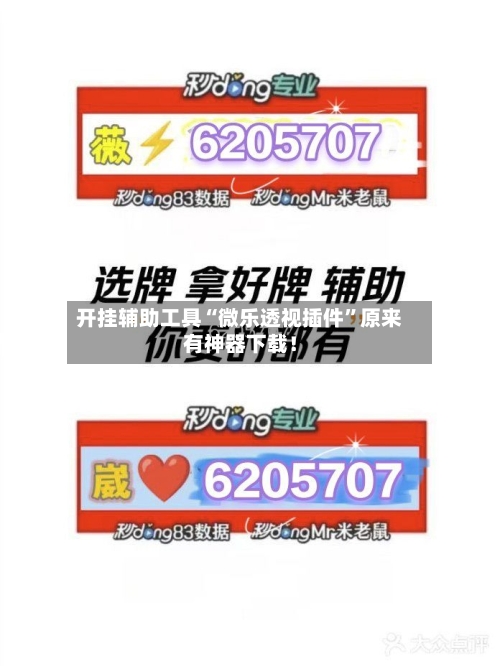 开挂辅助工具“微乐透视插件	”原来有神器下载！-第1张图片