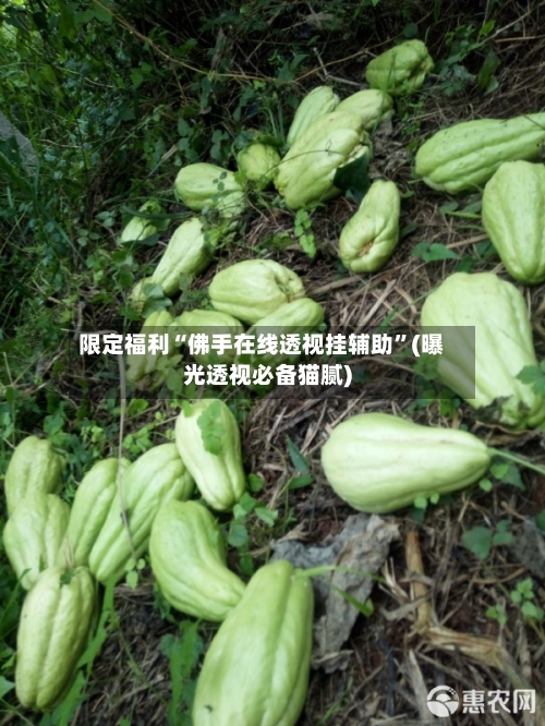 限定福利“佛手在线透视挂辅助”(曝光透视必备猫腻)-第1张图片