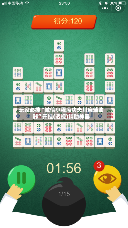 玩家必搜“微信小程序功夫川麻辅助器”开挂(透视)辅助神器-第3张图片