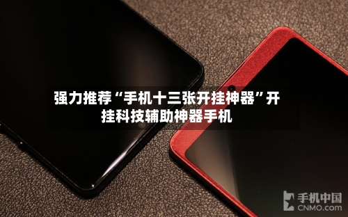 强力推荐“手机十三张开挂神器”开挂科技辅助神器手机-第3张图片