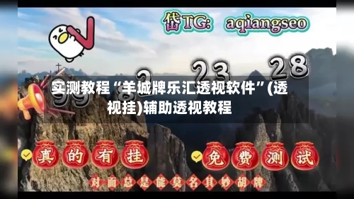 实测教程“羊城牌乐汇透视软件	”(透视挂)辅助透视教程-第3张图片