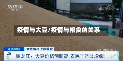 疫情与大豆/疫情与粮食的关系-第3张图片