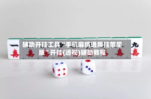 辅助开挂工具“手机麻将通用挂苹果版”开挂(透视)辅助教程-第2张图片