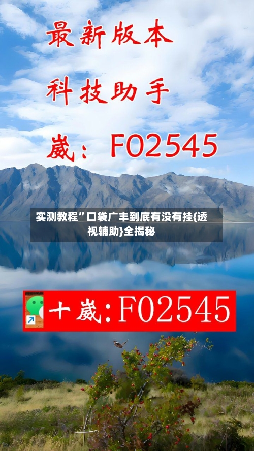 实测教程”口袋广丰到底有没有挂{透视辅助}全揭秘-第1张图片