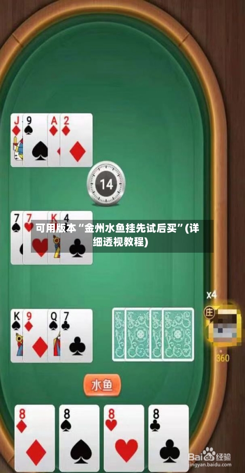 可用版本“金州水鱼挂先试后买	”(详细透视教程)-第2张图片