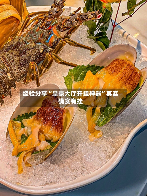 经验分享“皇豪大厅开挂神器”其实确实有挂-第3张图片