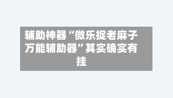 辅助神器“微乐捉老麻子万能辅助器	”其实确实有挂-第1张图片