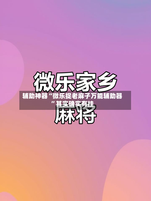 辅助神器“微乐捉老麻子万能辅助器”其实确实有挂-第2张图片